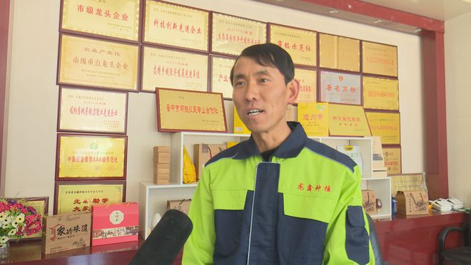 合作社：发展有机杂粮系列产品 带动群众增收PG麻将胡了免费试玩模拟器龙鑫种植农民
