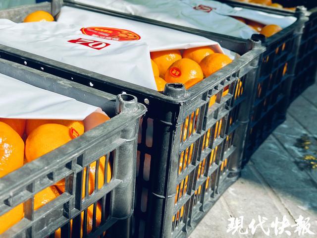 子的季节专家支招教你怎么吃更健康PG麻将胡了模拟器又到“炫”橘