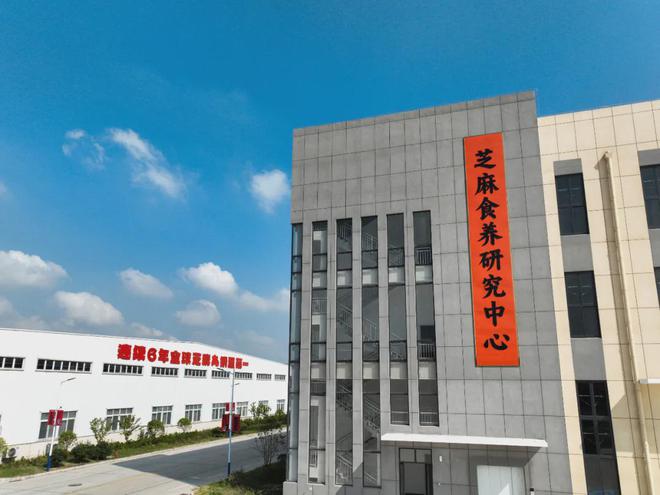 老金磨方如何用一颗芝麻丸撬动万亿市场？PG电子游戏麻将胡了连续六年销量第一(图9)